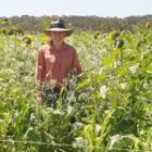 Spotlight on Australian regen farming at NZ symposium