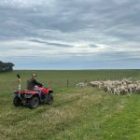 Scholarship helps Olivia experience new ag opportunities